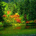 fêtons ensemble l’automne e