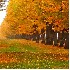 fêtons ensemble l’automne e
