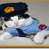 Des chats victimes de passions