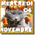 Des chats victimes de passions