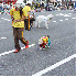 Des animaux avec leur déguise