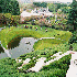 D'étranges jardins du monde.