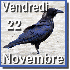 Corbeau au plumage bleu.
