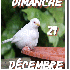 Animaux albinos.