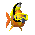 De sublime poissons combattant