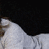 Qu'est devenue Daphne Zuniga 
