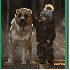 Ses garçons et les animaux de
