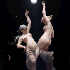 Une Compilation de tableaux en