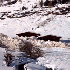 Une Impressionnante  avalanche