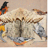 Une artiste sculpte ses livres