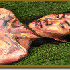 De fabuleuses peintures vivant