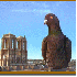 Un pigeon géant  Menace!!!
