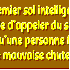Le premier sol intelligent.