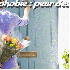 Des étranges phobies.