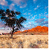 Le magnifique désert de Namib