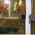 Des situations totalement inex