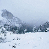 Paysages somptueux du Yosemite