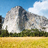Paysages somptueux du Yosemite