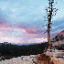 Paysages somptueux du Yosemite