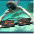 Survolez les fonds marins  aux