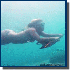 Survolez les fonds marins  aux