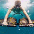 Survolez les fonds marins  aux