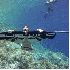 Survolez les fonds marins  aux