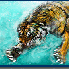 Animaux qui surgissent des mur