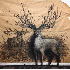Animaux qui surgissent des mur