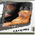 Des animaux qui ont oublié qu