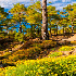 Les fabuleux  paysages autour 