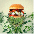 Des burgers  complètement fou