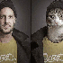 Ces chats ont pris  le pouvoir