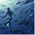 Des clichés sous-marins.