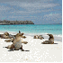 Des plages sur lesquelles vous