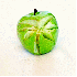 Ces incroyables compositions c