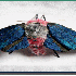 Des broderies multicolores de 