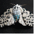 Des broderies multicolores de 