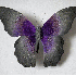 Des broderies multicolores de 