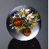 Des oeuvres en verre.