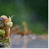 Visitez le monde  miniature de