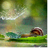 Visitez le monde  miniature de