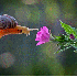 Visitez le monde  miniature de