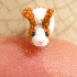 D’adorables animaux miniatur
