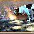Les chiens ont l’art de pren