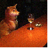 Les chiens ont l’art de pren