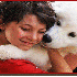 L'affection des chiens pour le