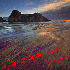 Des plages qui ont quelque cho