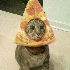Des Chats pour une délicieuse