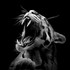 photographies en noir et blanc
